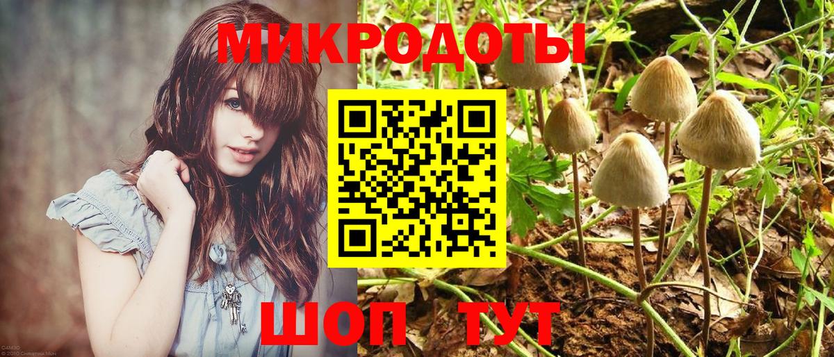 Галлюциногенные грибы прущие грибы  Псилоцибиновые грибы Cubensis  Каспийск  Вход с VPN 